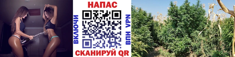 Где продают наркотики Колпашево Cocaine  МАРИХУАНА  Мефедрон  АМФ  ГАШ 