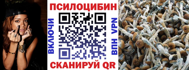 Галлюциногенные грибы GOLDEN TEACHER  закладки  Колпашево 